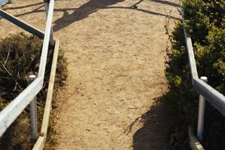 Jesse Lash Photography - 11