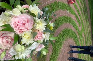 Lily of the Lakes - 39