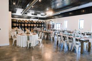 Bella Terra Vineyards - 50