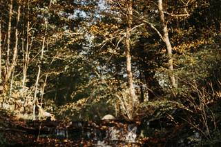 Bridget McDonald Photography - 35