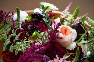 Harmony Haft Photography - 15