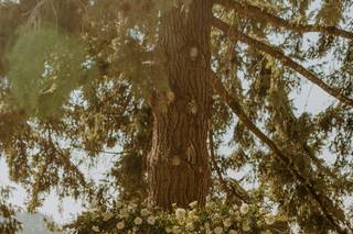 Flowers by Alana - 96