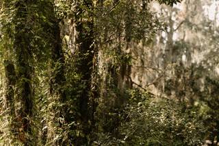 Florida Rustic Barn Weddings - 72