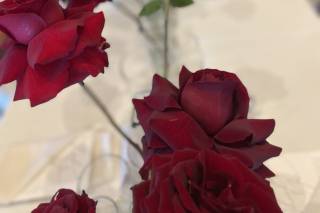 Wildblume - 15