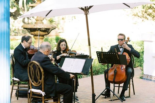 Seaside Strings 1