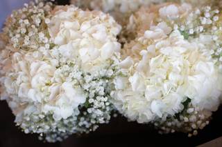 Stylish Blooms - 56