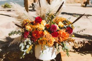LAUD FARM - 10