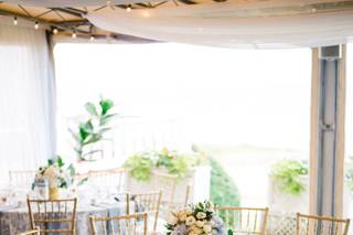 La Bella Rose - 8