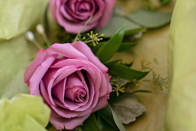 Schweizer & Dykstra Beautiful Flowers 5