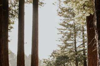 Karina Santos Photography - 24