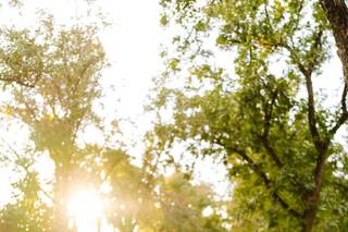 Andrea Neff Photography - 19