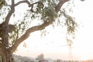 Zaca Mesa Winery - 14