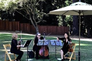 Corelli Strings - 9