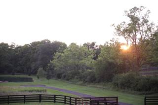 Canopy Creek Farm - 22
