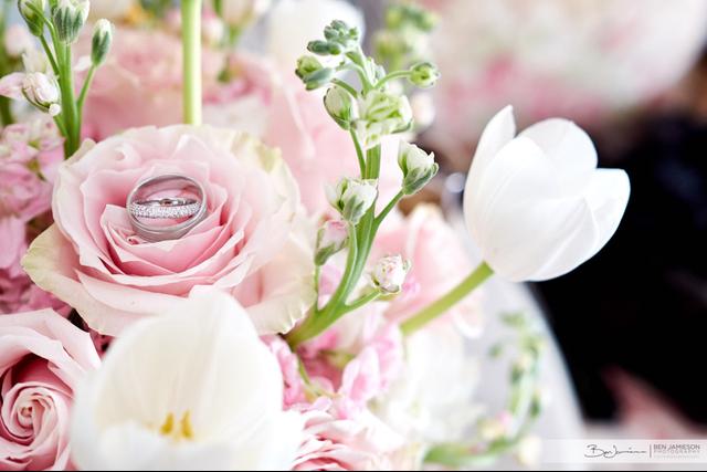 Ben Jamieson Photography - 1