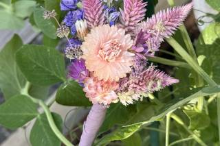 Wildpower Floral - 7