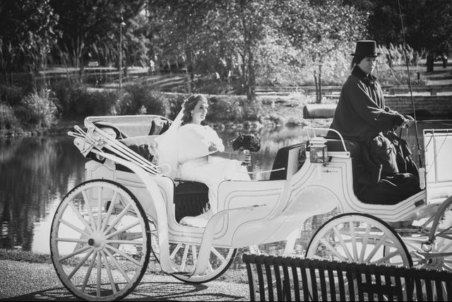 Willow Wind Carriage & Limousine Service - 3