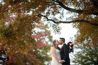 Dave McIntosh Photographics - 49