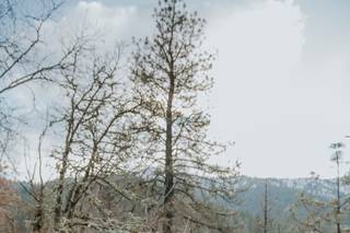 Rebecca Skidgel Photography - 74