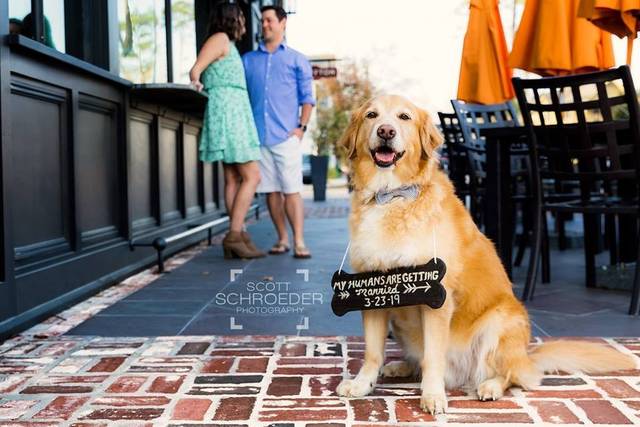 Scott Schroeder Photography 1