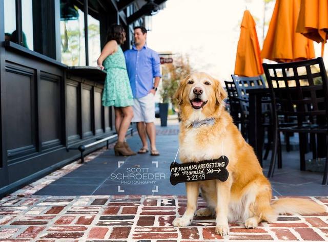 Scott Schroeder Photography - 1