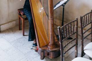 Valerie Saint Martin, Harpist & Opera Singer - 12