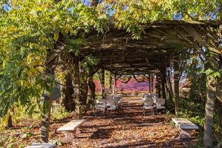 Carmen's Country Inn & Gardens - 51