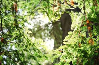 Blue Note Weddings - 19