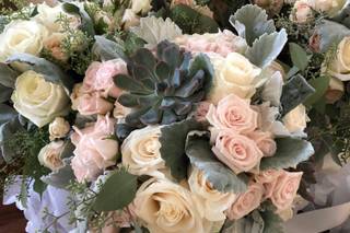 Blooming Flowers - 105