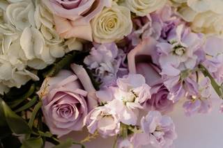 CC Fine Florals - 11