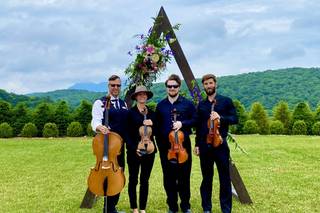 SUMMIT Strings - 46