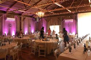 Flash and Sound Events - 53