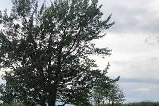 Whiteface Hollow - 32