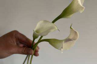 Cassandra Shah Flowers & Event Design - 14