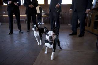 Agave of Sedona Weddings and Event Venue - 61