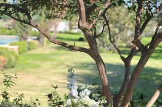Timeless Event Planning - 22