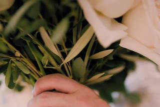 Phoebe Bickford Photography - 1