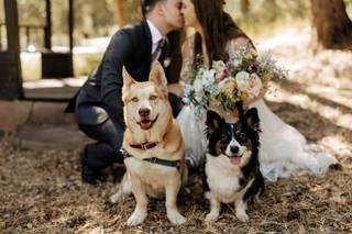 Kristyn Taulane Photography - 11