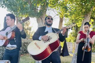 Mariachi Tierra Mia, LLC - 1