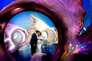 Creative Compositions Fine Photography - 8
