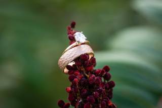 Brandon Shafer Photography - 8