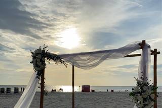 Hilton Clearwater Beach Resort & Spa - 21