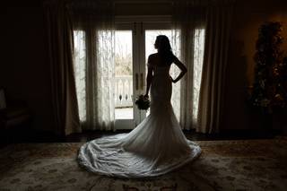 Artemis Photo - 5