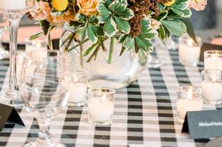 Bright DeSigns - 146