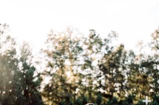 PHV Photo - 15