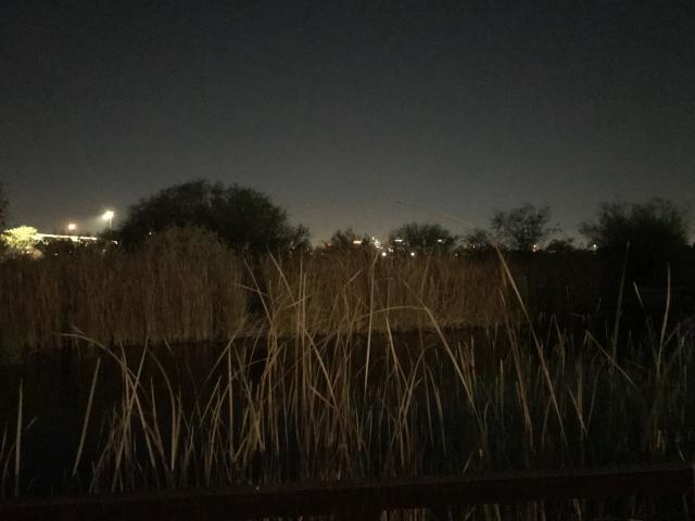 Rio Salado Audubon Center - 1