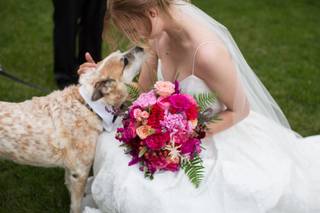 Sarah Morgan Photography - 6
