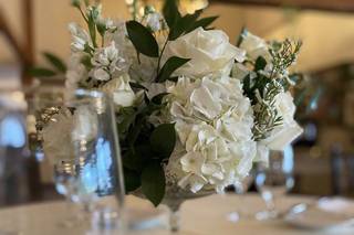 Harrington Flowers - 73