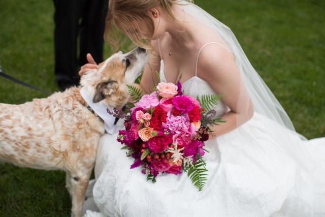 Sarah Morgan Photography - 1