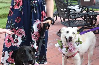Mankin Mansion Weddings & Events - 25